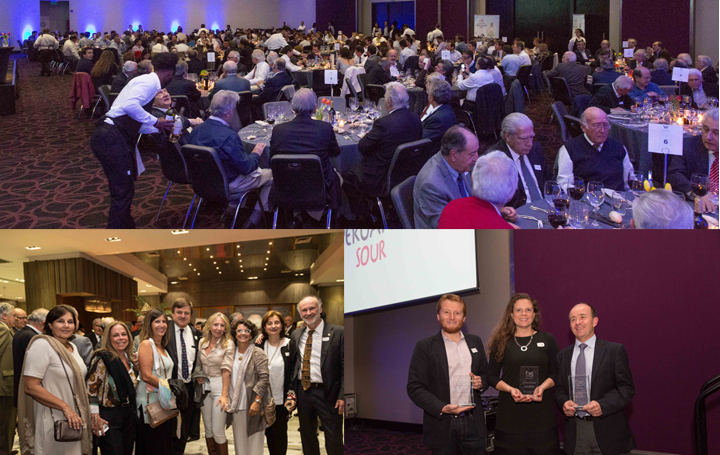 /s/65fiuc_interior.jpg?v=1